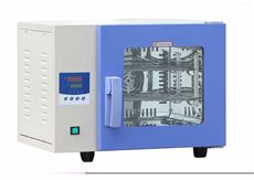 电热恒温鼓风干燥箱