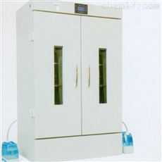 药品稳定试验箱 